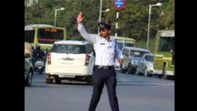 Nagpur: Highway traffic cops write to authorities to save wildlife from road-hits