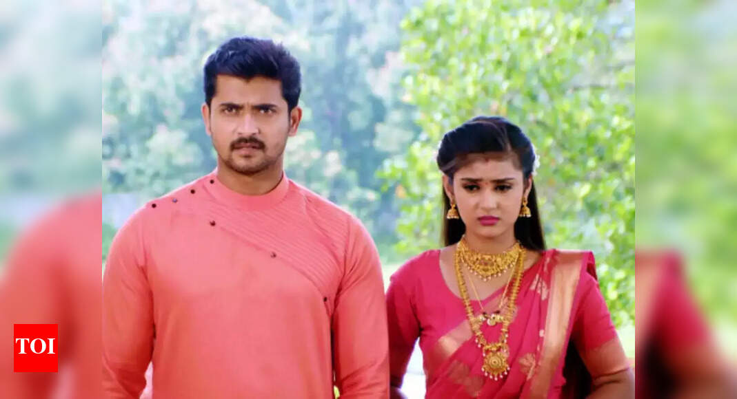 Kannada daily soap Marali Manasaagide completes one year - Times of India