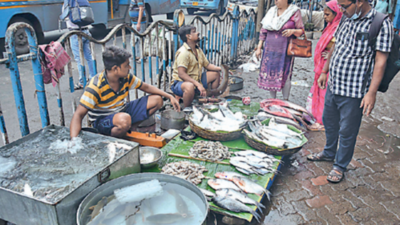 Depression ban on sea fishing jacks up fish prices in Kolkata markets