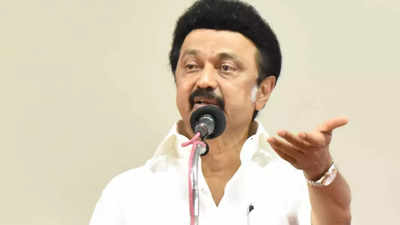Tamil Nadu CM M K Stalin asks cops to attach properties of drug peddlers