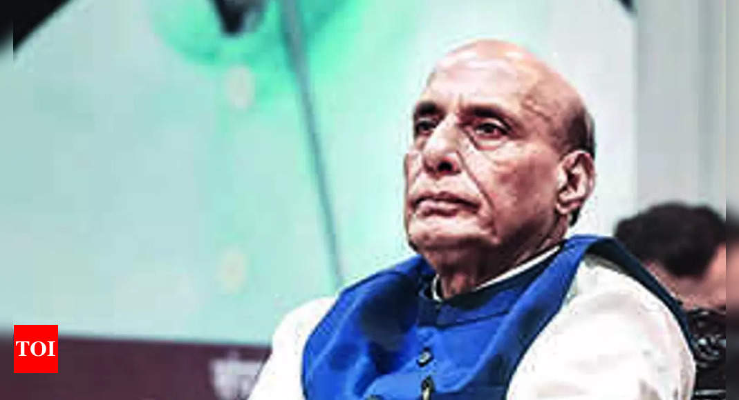 Rajnath: Amit Shah harassed by agencies under UPA, never raised hue & cry | India News – Times of India