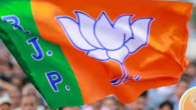 Uttar Pradesh: Will BJP opt for a dalit state unit president?
