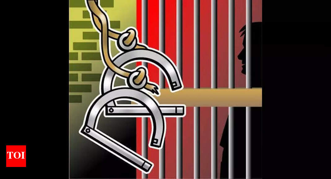 Madurai: Man Gets Life Term For Sexual Assault | Madurai News - Times ...