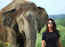 World Elephant Day 2022: Jennifer Winget says, 'To end captive elephant abuse, do not indulge tourist attractions!'