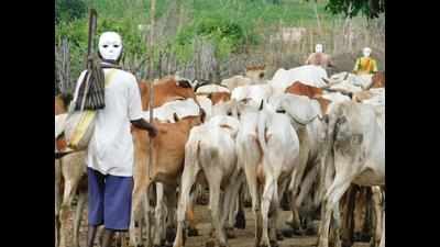 Tadoba pushes facemasks among farmers, shepherds in buffer zone