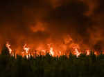 Wildfires rip through France amid new heat wave; see pics