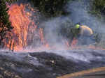 Wildfires rip through France amid new heat wave; see pics