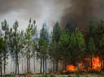 Wildfires rip through France amid new heat wave; see pics