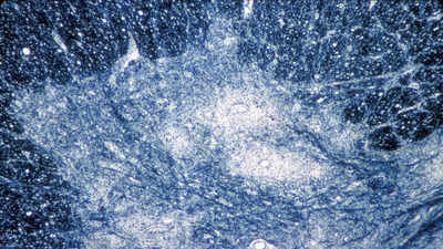 banner img