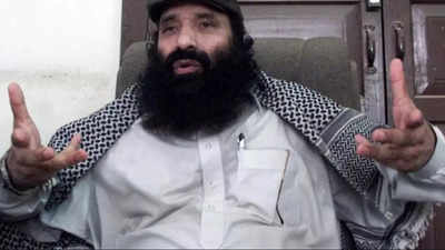 Jammu and Kashmir administration sacks kin of Hizbul Mujahideen chief, JKLF leader