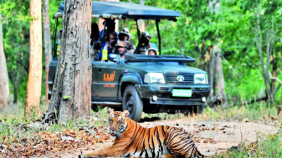 Karnataka: Nagarahole Tiger Reserve to get 2 more safari routes