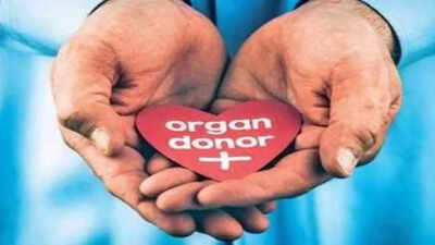 People in the state who took the courageous decision of donating their near and dear ones' organs after they were declared brain dead were honoured at a small gathering in the city on Saturday. Their decisions have saved the lives of over 150 people since the state's first organ donation in 2015. banner img
