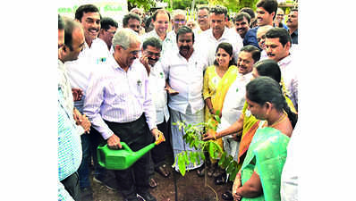 Minister launches mega plantation drive in city