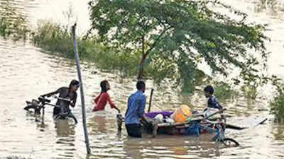 More water released into Yamuna, causes panic in Uttar Pradesh