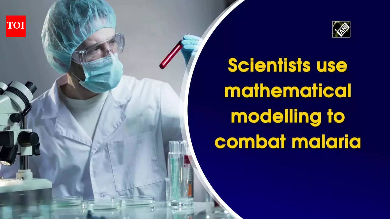 Scientists use mathematical modelling to combat malaria