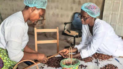 Ivory Coast supplies the world with cocoa. Now it wants some for itself