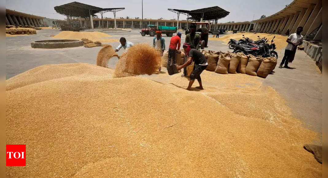 India@75: Over 500% jump in foodgrain production since Independence – Times of India