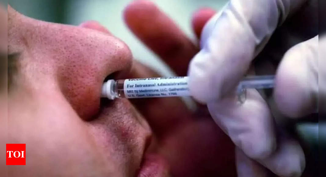 Intranasal vaccine trial a success, submitted data: Bharat Biotech | India News – Times of India