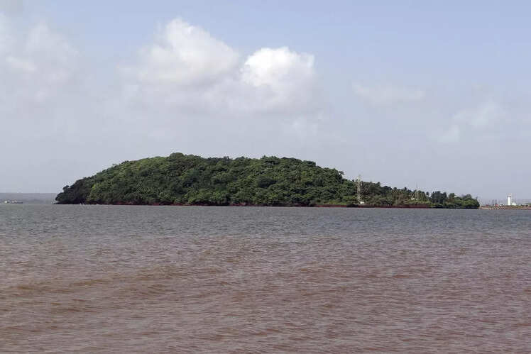 S&atilde;o Jacinto Island