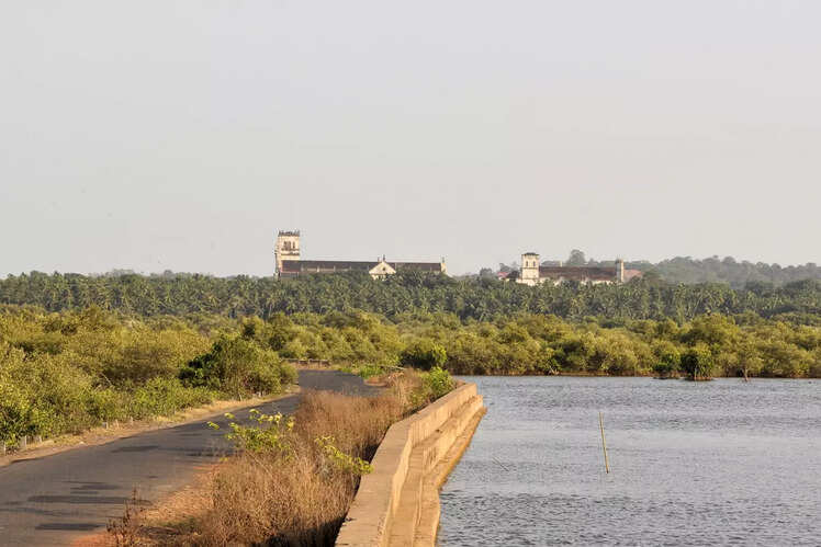 Divar Island