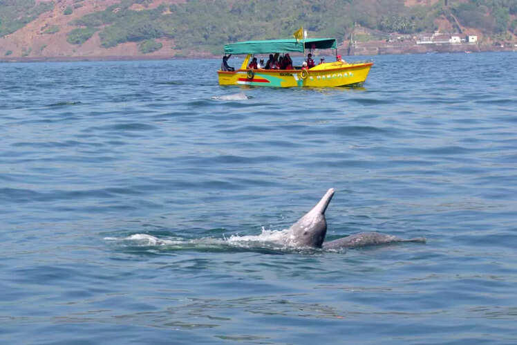Ilha Grande