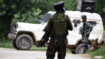 Terrorists lob grenades at security forces, escape cordon in J&K's Shopian