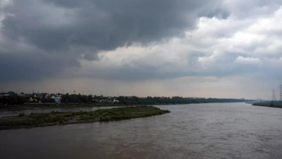 Yamuna crosses warning level again in Delhi, likely to swell further