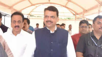 Maharashtra deputy CM Devendra Fadnavis appointed leader of legislative council