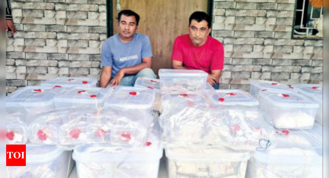 Gujarat: Anti-terrorist Squad Detains 6 Over 225-kg Mephedrone Seizure ...