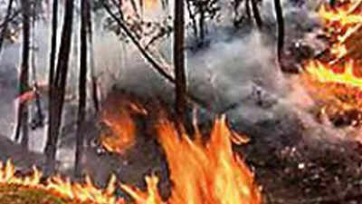 Uttarakhand among 10 states with most wildfires in India