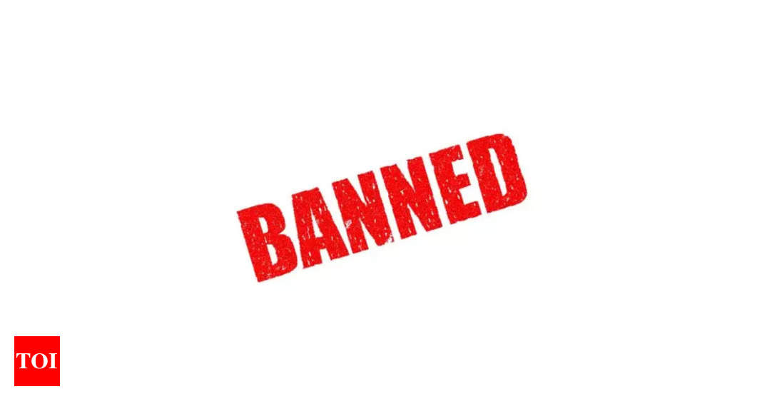 8 YouTube channels blocked: Why government has banned them and how they operated – Times of India