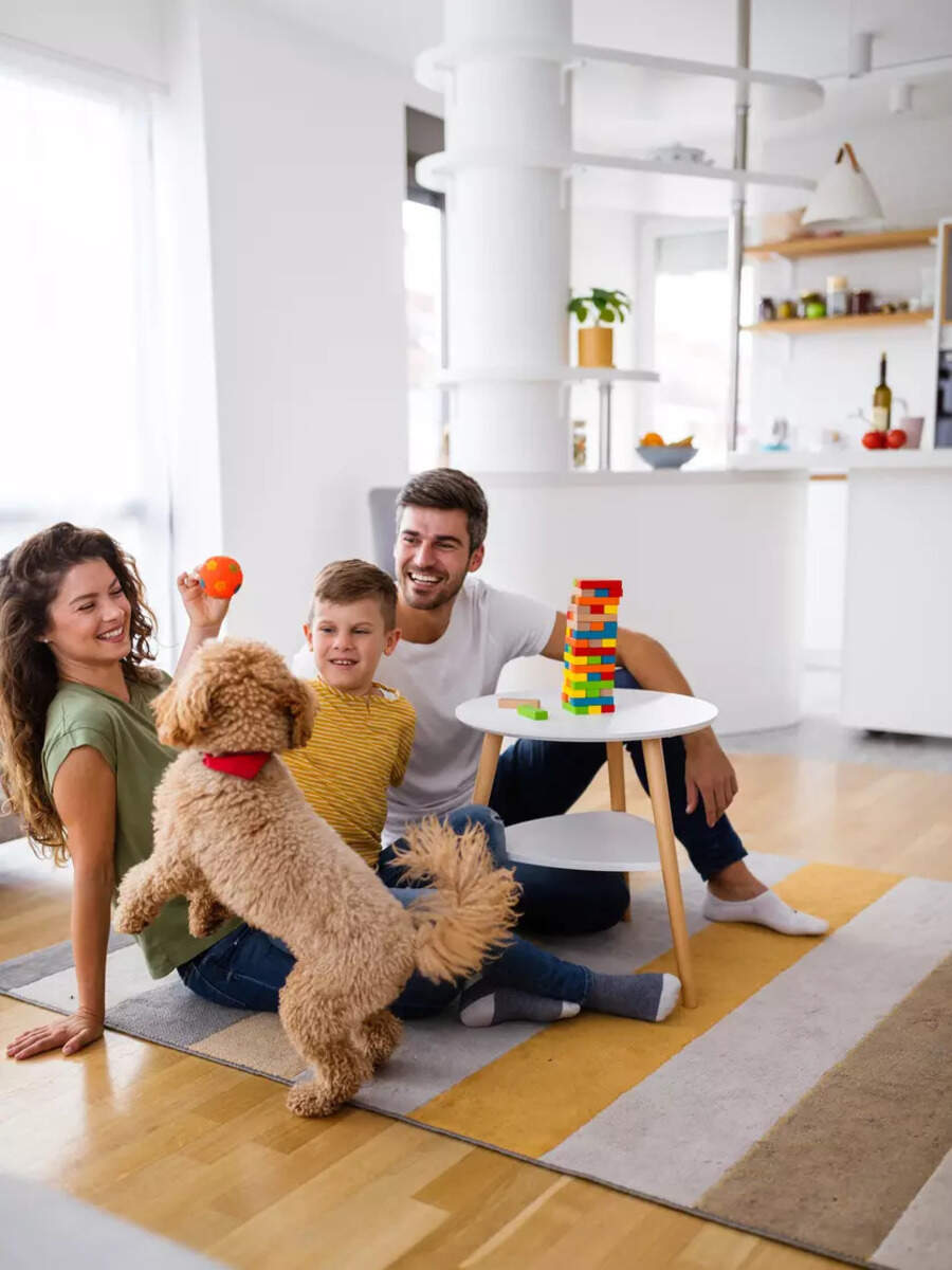 Pets and their therapeutic effects Times Now