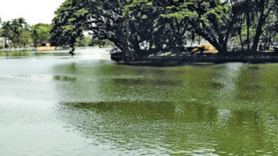 '35% of Bengaluru lakes unfit for aquatic life'