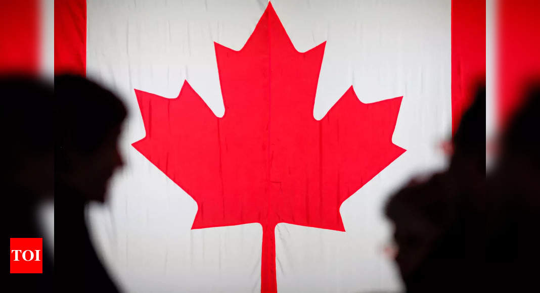 canada-punjabi-is-4th-most-spoken-language-in-canada-report-times