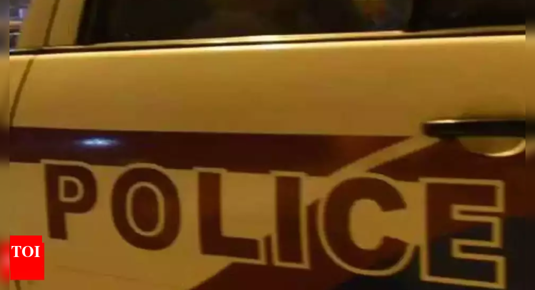 Chandigarh Burglar strikes at two chemist shops Chandigarh News