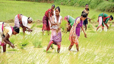 Jharkhand: Disaster management to assess drought situation next week