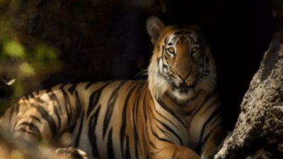 banner img