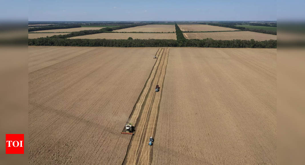 La Russie va envoyer une cargaison test de blé au Vietnam