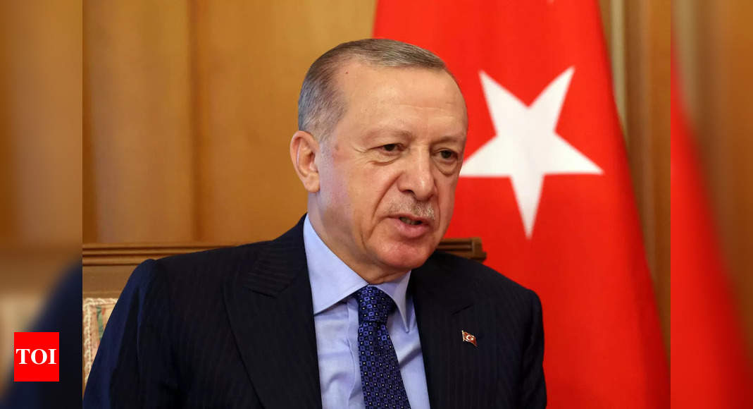 Erdogan says Turkey not looking to take Syrian territory – Times of India