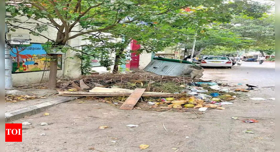 Chennai: Garbage dumping outside corporation school raises stink ...