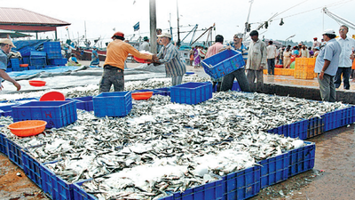12% rise in marine exports from Andhra Pradesh