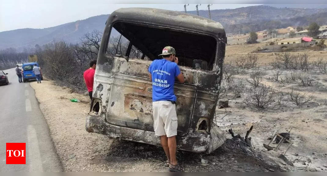 Les incendies en Algérie ont brûlé un parc classé à l’Unesco: un expert
