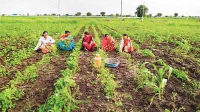 Women farmers adapt to climate change with bio-diverse farming