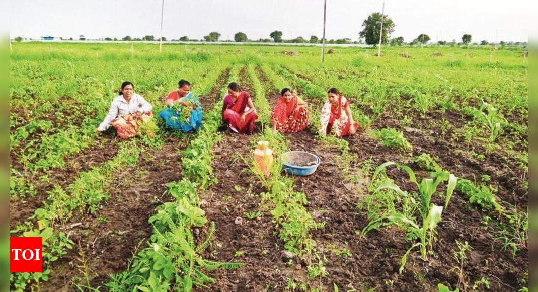 Women Farmers Adapt To Climate Change With Bio-diverse Farming | Nagpur ...