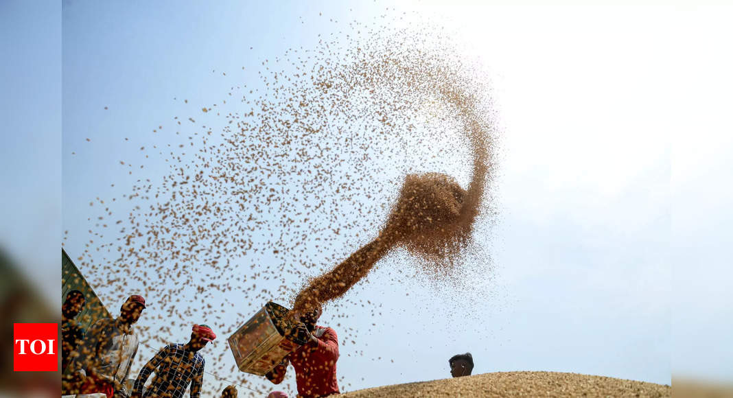 Govt refutes reports, says no plan to import wheat as sufficient stocks available – Times of India