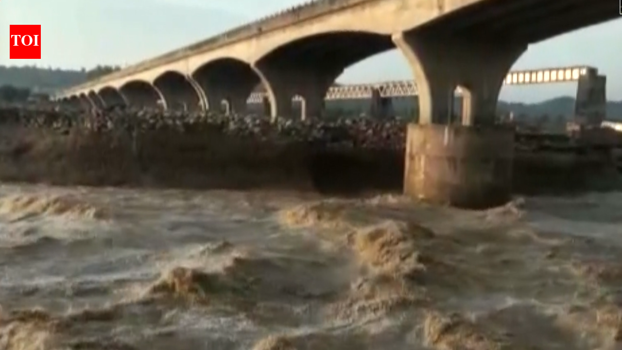 Punjab: Bridge over Chakki Dariya closed in Pathankot owing to heavy water flow