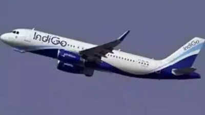 The aircraft landed safely and the alarm turned out to be a false one. (Representative image) banner img