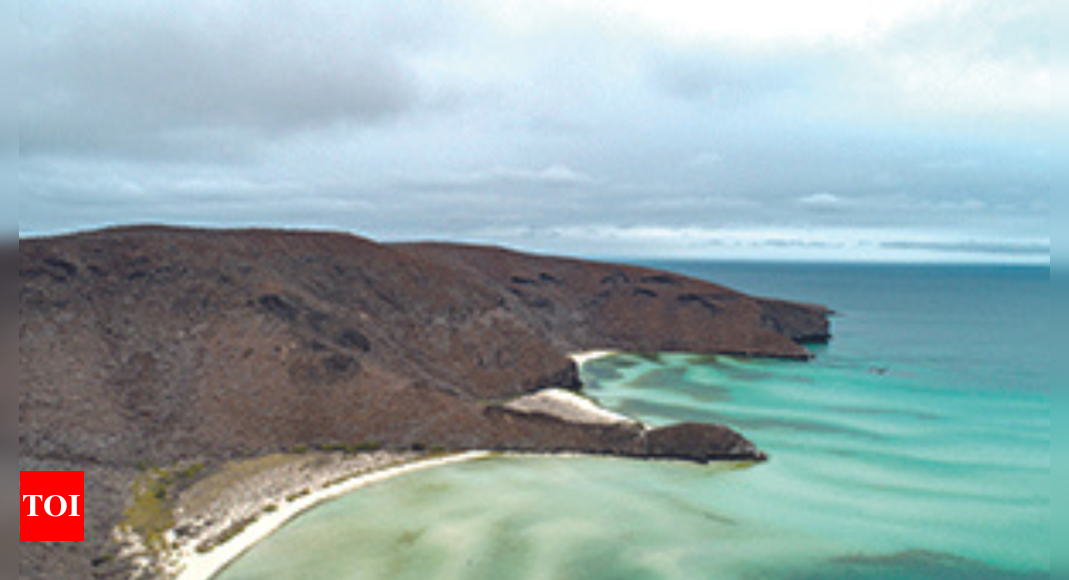 Fish Ear Bones Hold Key To Map Ocean Temperature Changes Over