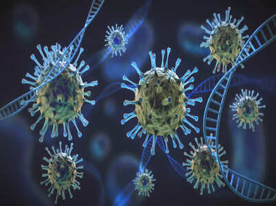 Future variants will be more transmissible:WHO