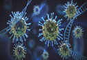 Coronavirus: Future variants will be more transmissible, warns WHO COVID technical lead; key points to note